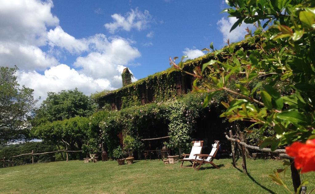 Lubriano Bed And Breakfast Dopo Il Settimo Cielo מראה חיצוני תמונה