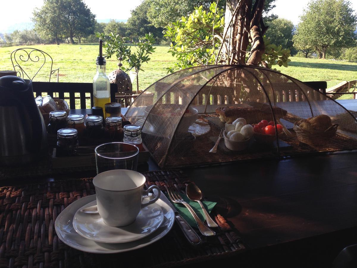 Lubriano Bed And Breakfast Dopo Il Settimo Cielo מראה חיצוני תמונה