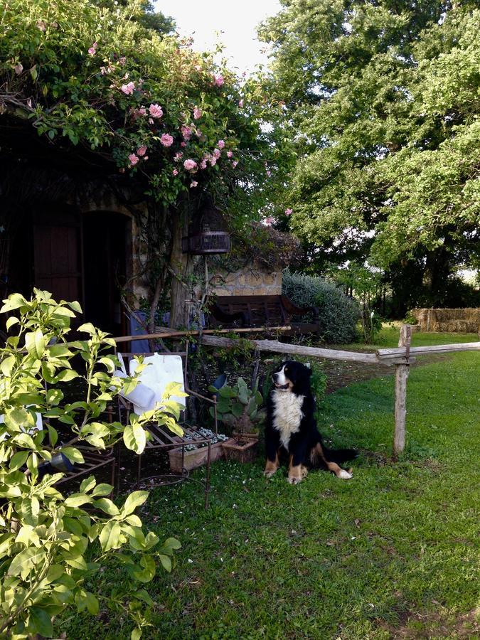 Lubriano Bed And Breakfast Dopo Il Settimo Cielo מראה חיצוני תמונה