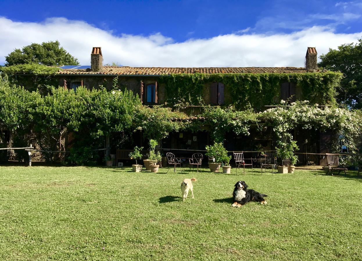 Lubriano Bed And Breakfast Dopo Il Settimo Cielo מראה חיצוני תמונה